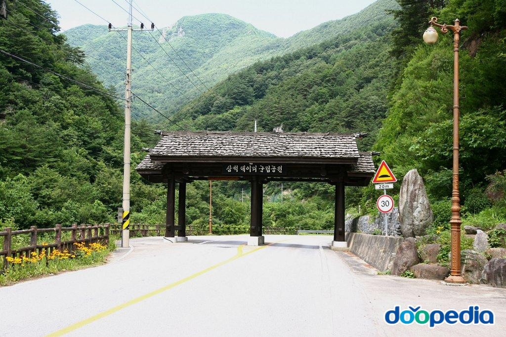 대이리