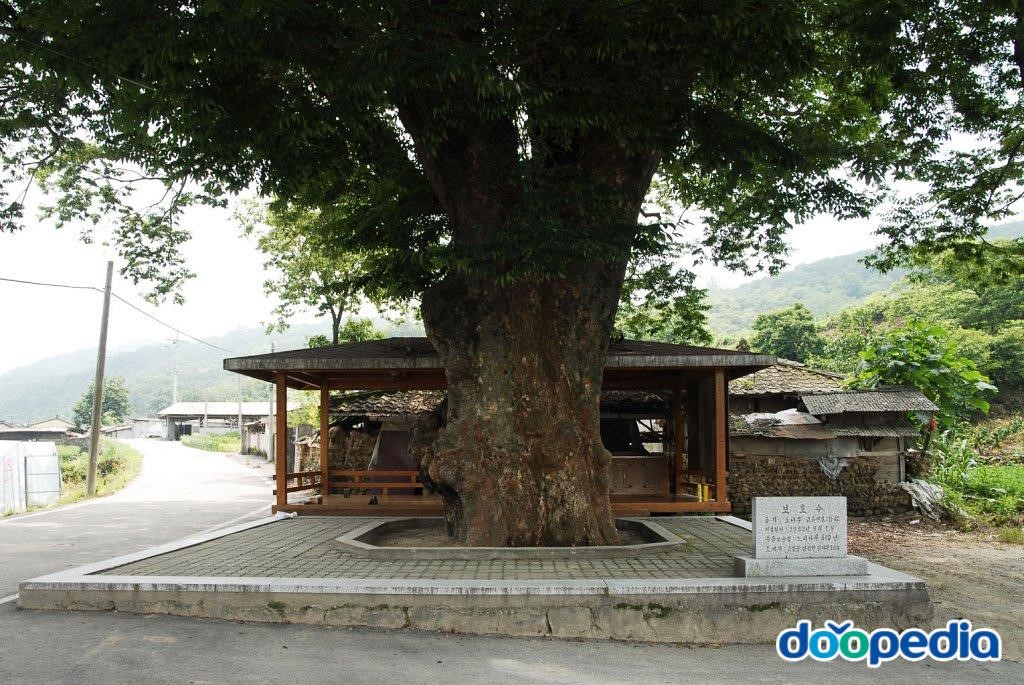 평지리