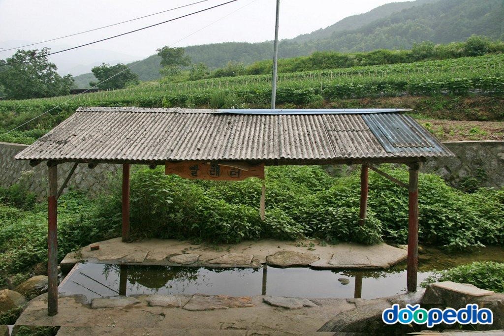 신평리