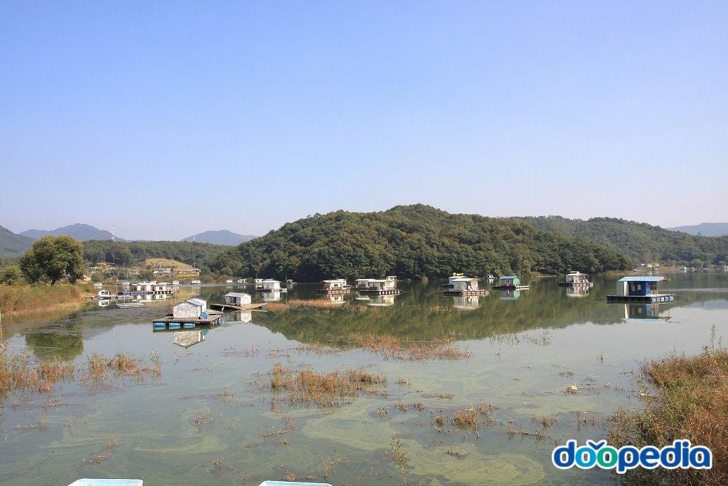 월향리 - 월향리 고삼호수