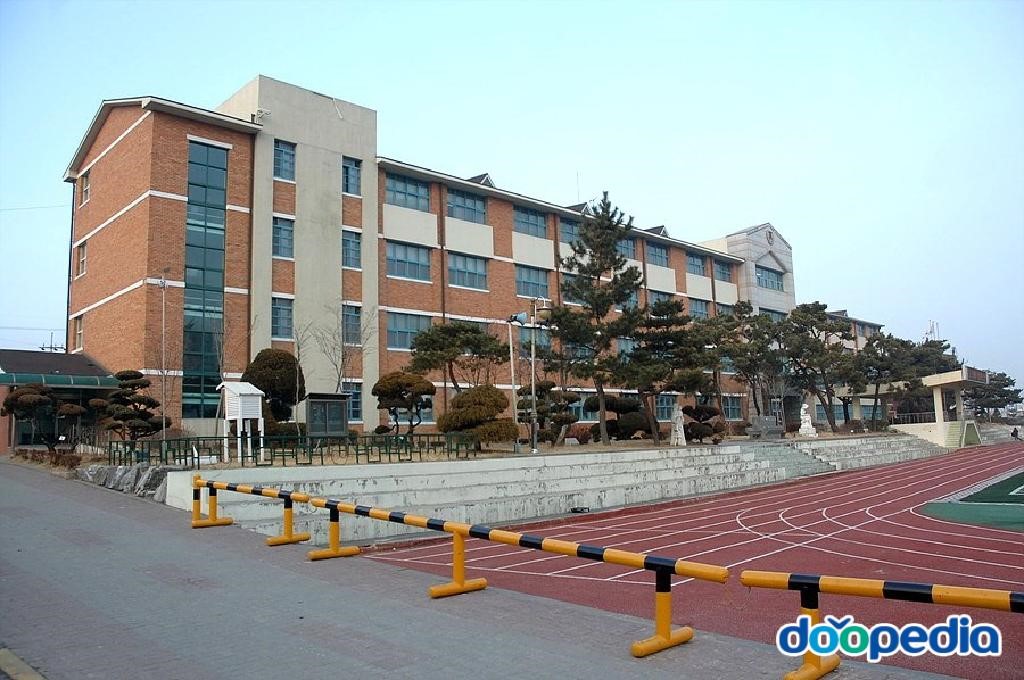 조치원대동초등학교 - 조치원 대동초등학교 전경