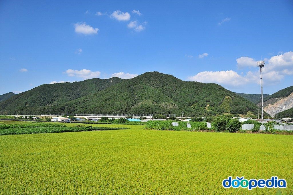 신대리