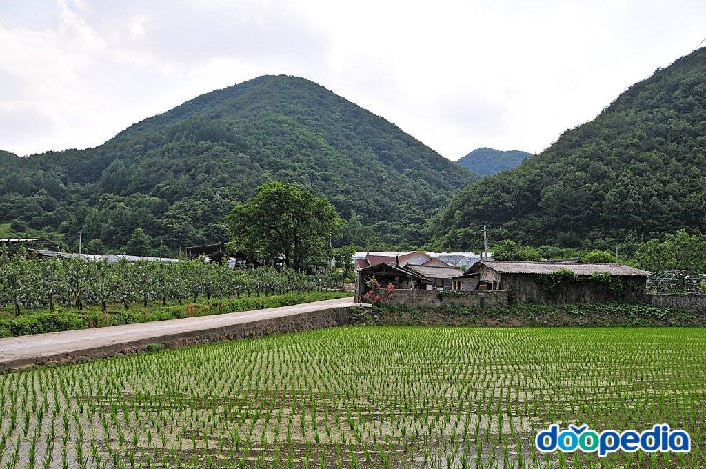 상내리
