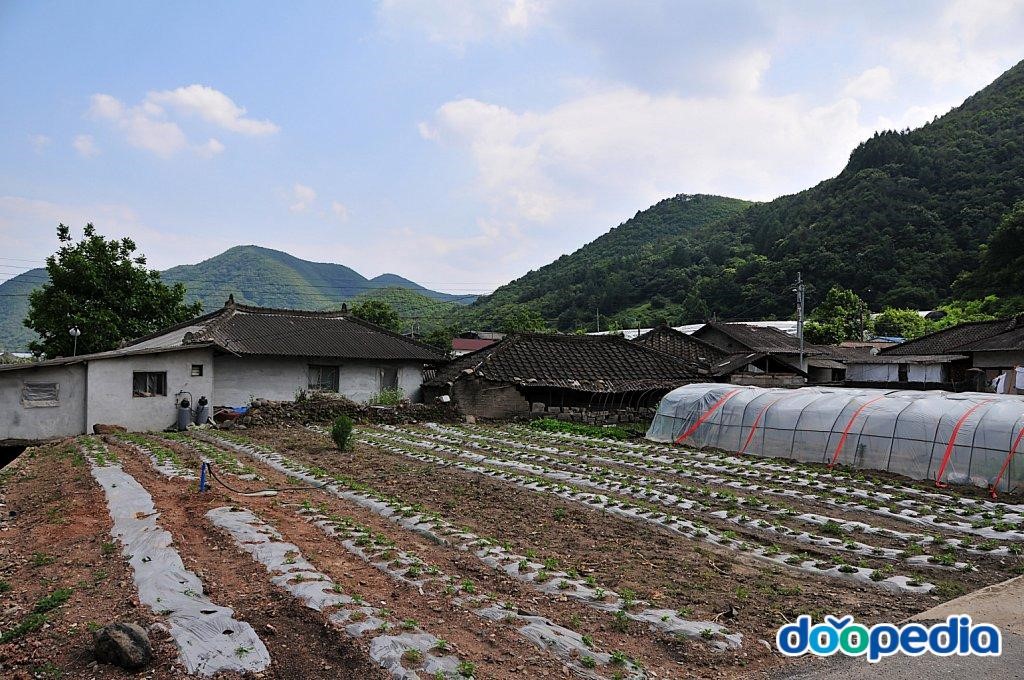 상내리
