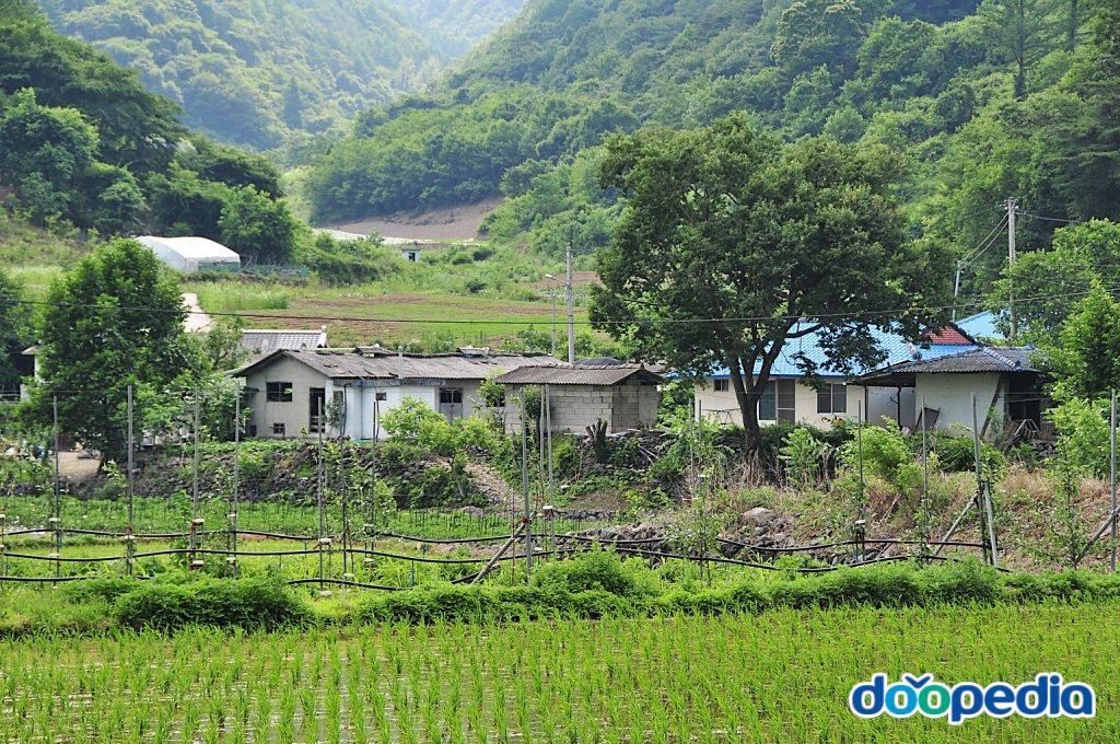상내리