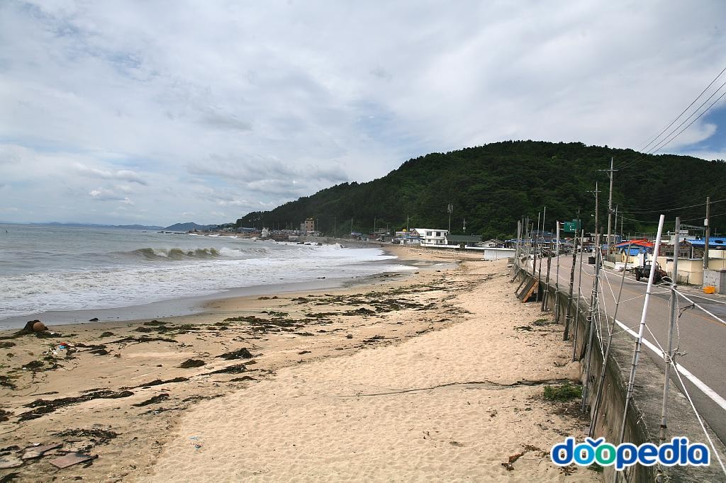 하저리 - 강구면 하저리 해안