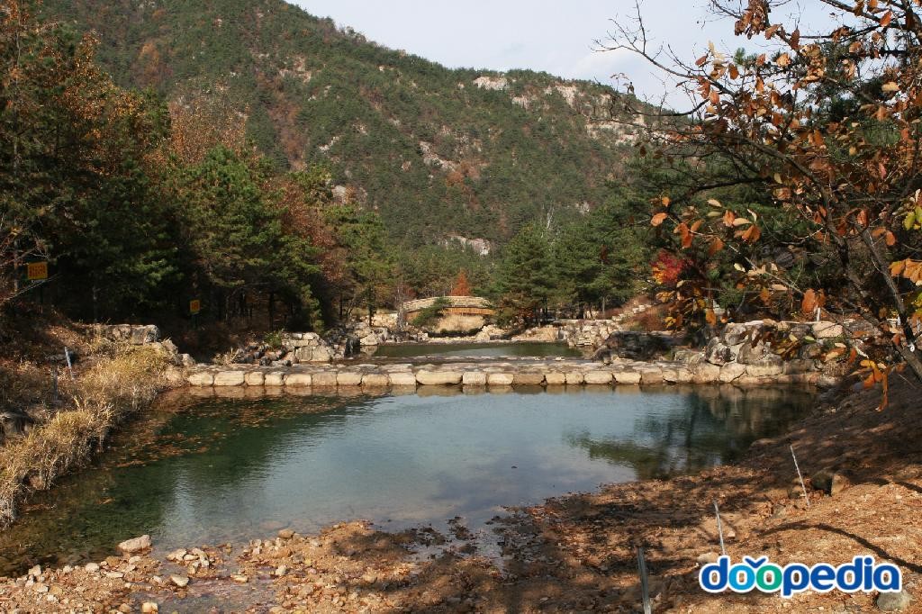 성주봉자연휴양림 - 성주봉 자연휴양림
