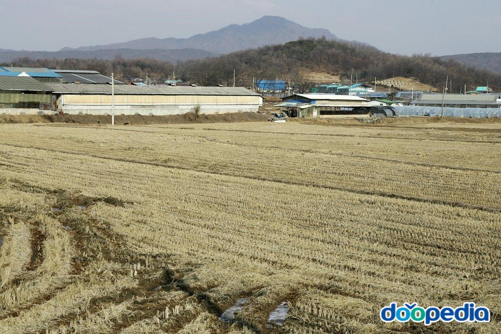 하패리 - 하패리 전경