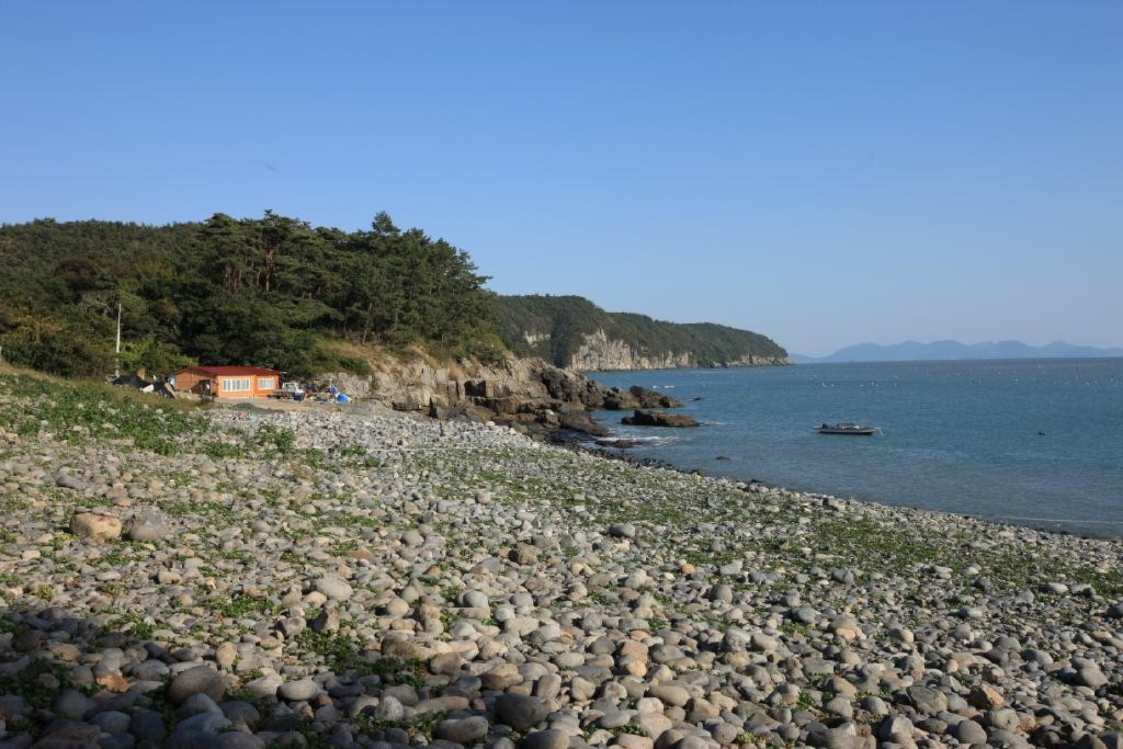완도 이미지