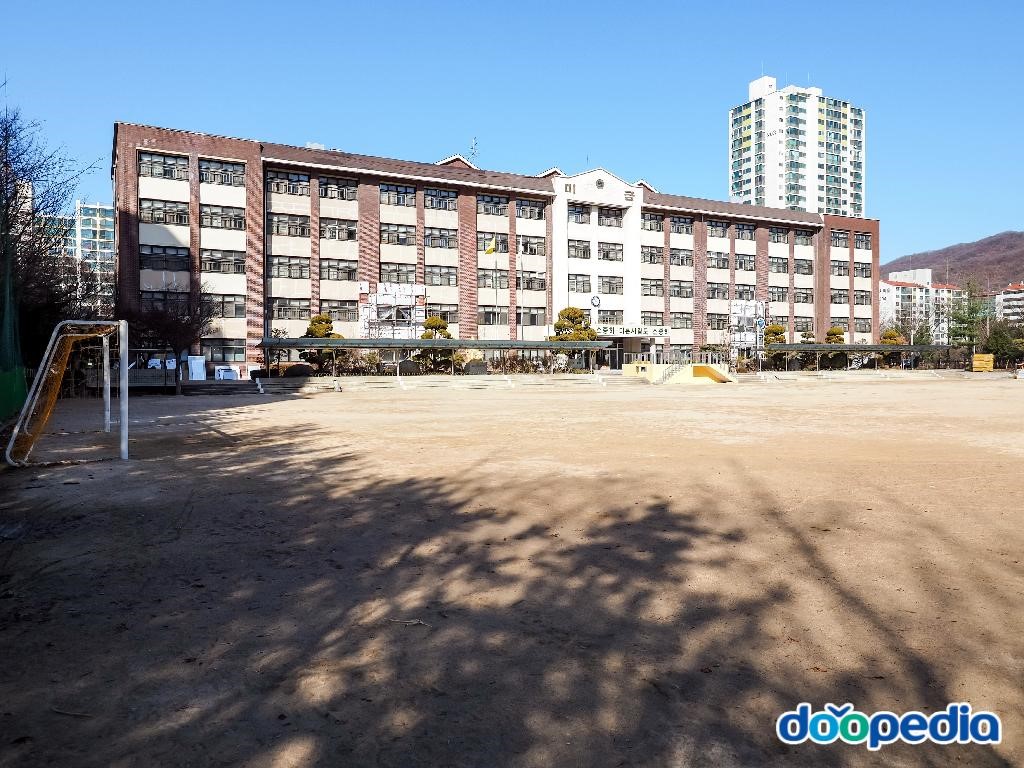 성남미금초등학교 - 미금초등학교 운동장 전경