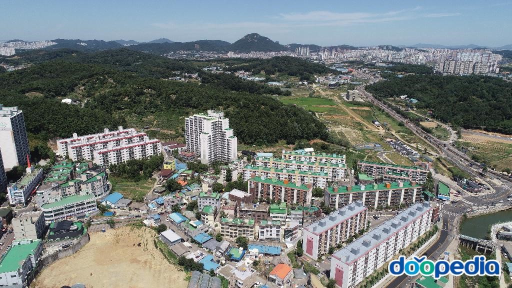 신현동