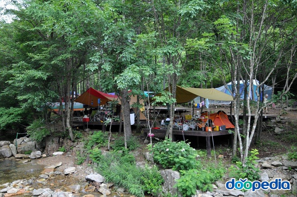 삼봉자연휴양림 - 삼봉자연휴양림 캠핑장
