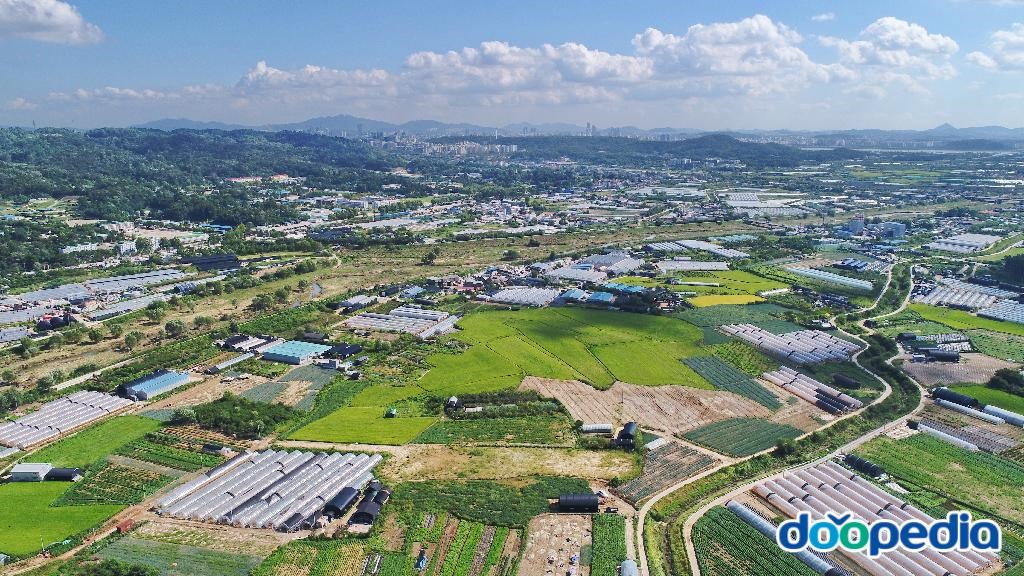 흥도동
