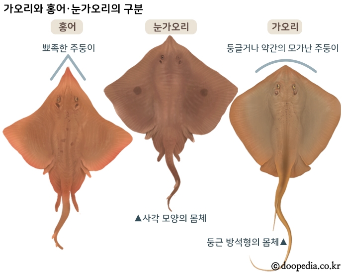 흑산홍어집 이미지