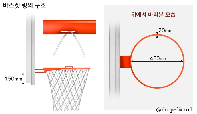 농구 본문 이미지 6