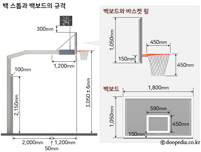 농구 본문 이미지 5