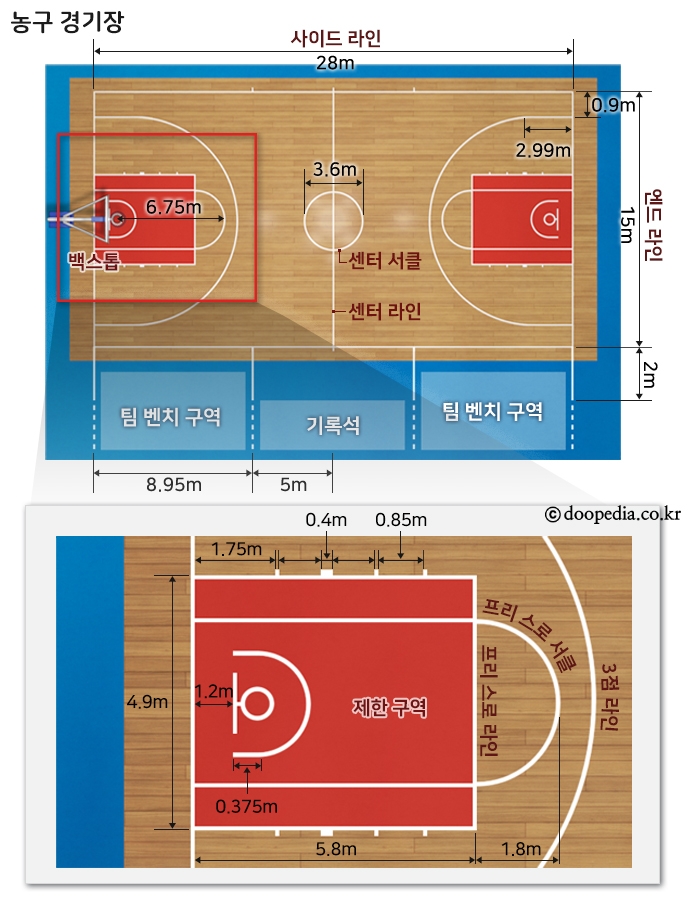 농구 본문 이미지 4