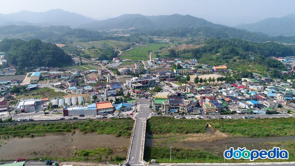 엄정면
