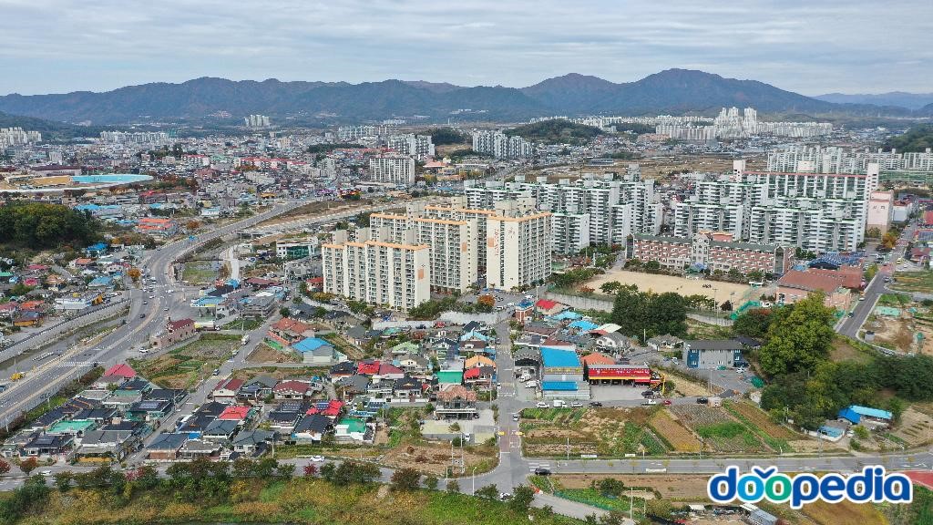 신백동
