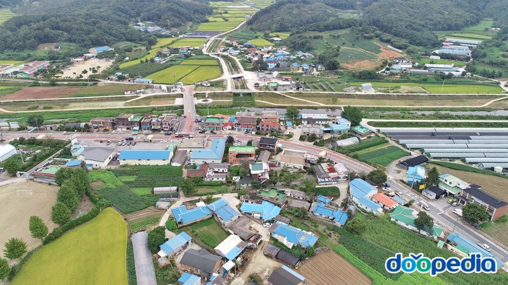 대술면