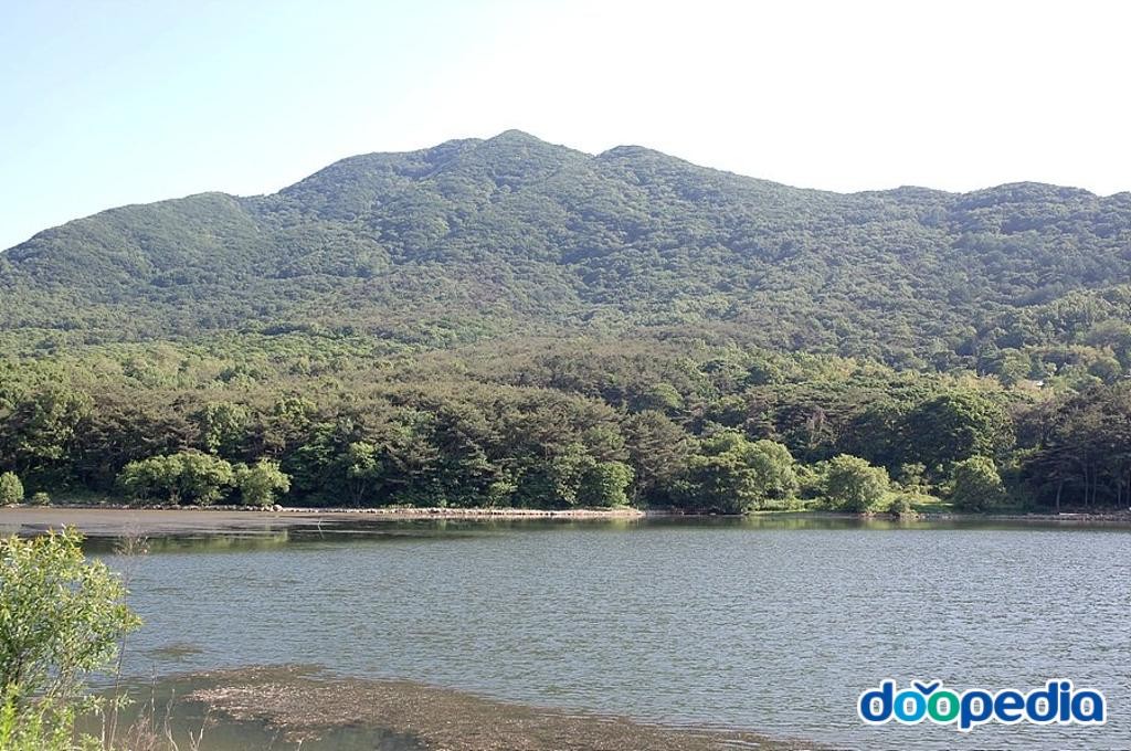 수신면 - 망경산