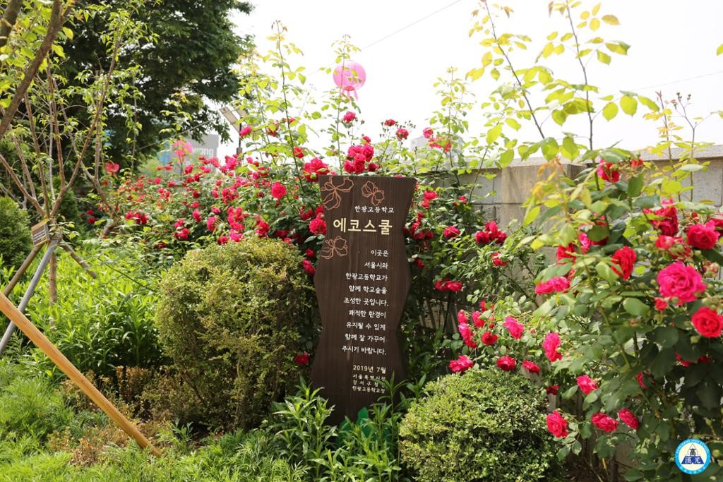 한광고등학교