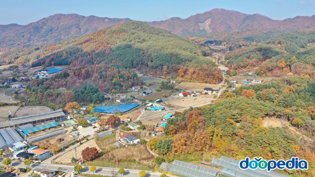신대리