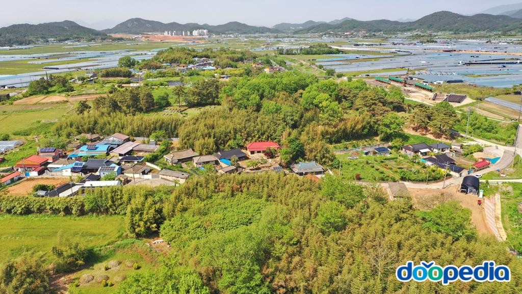 신장동