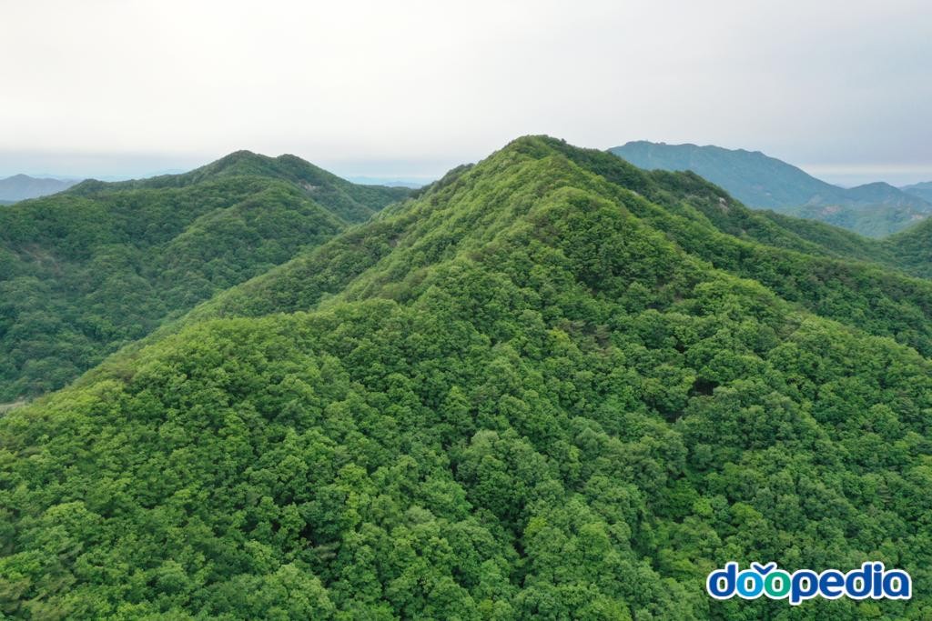 금산군 - 국사봉