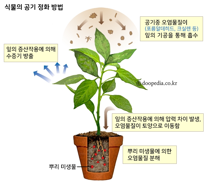 가사앤육아 이미지