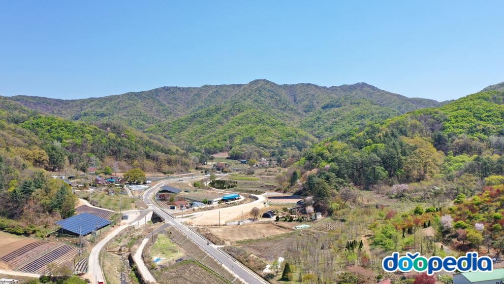 오갑산