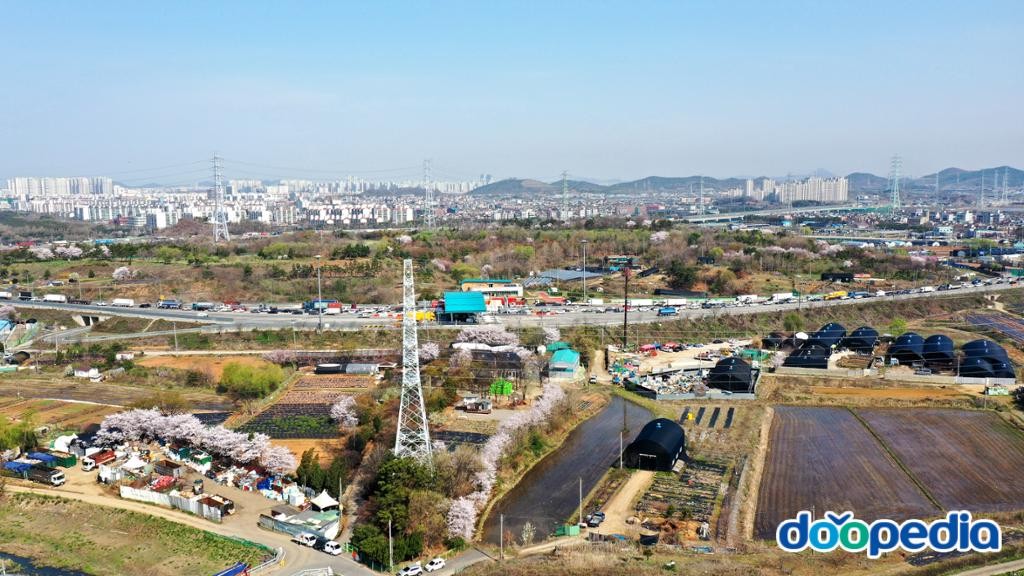 성곡동