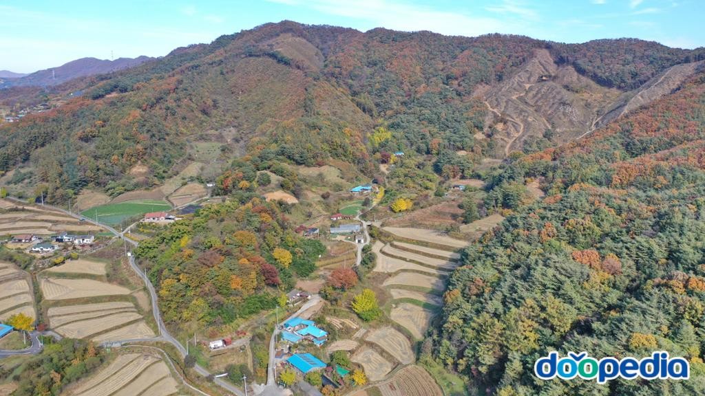 세동리