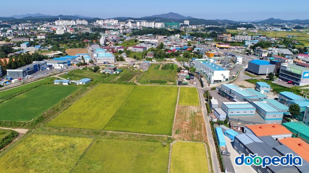 통진읍 - 도사리