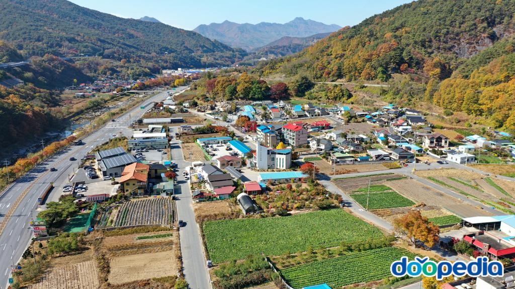 대강면 - 단양 장림리