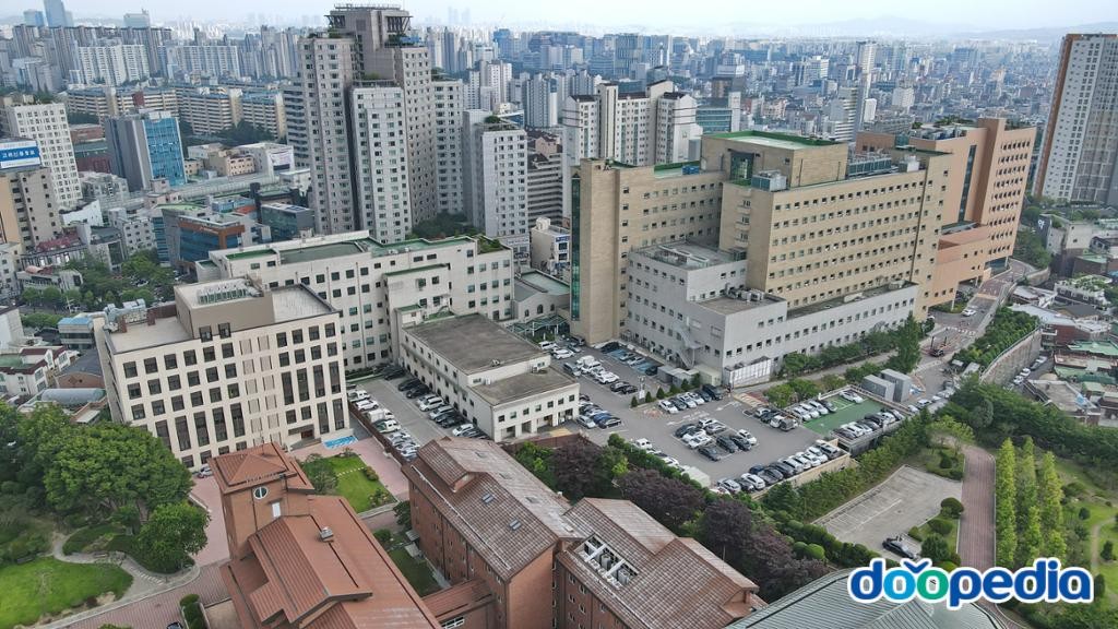 수원시의 사회문화 - 가톨릭대학교 성빈센트병원