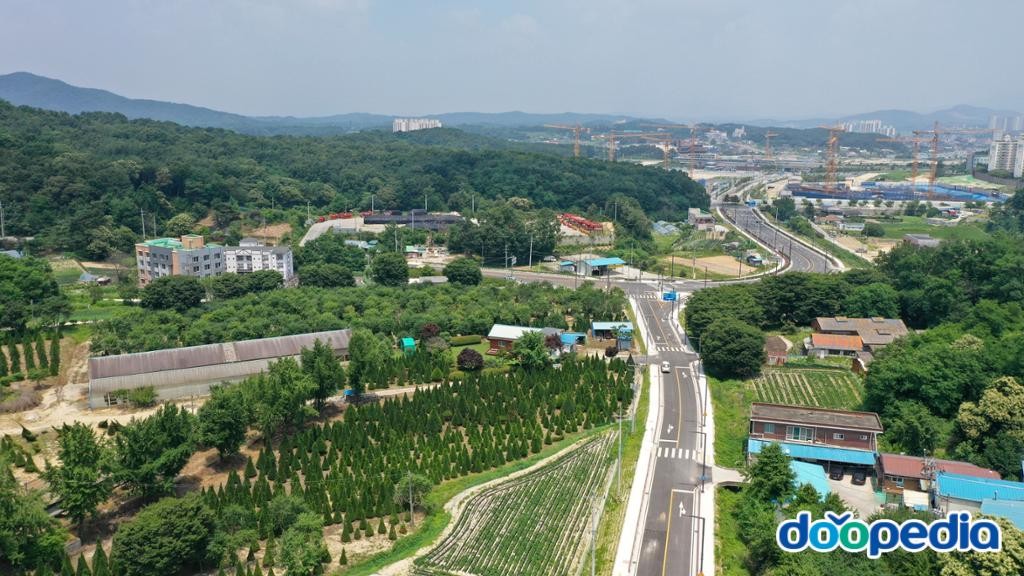 교동