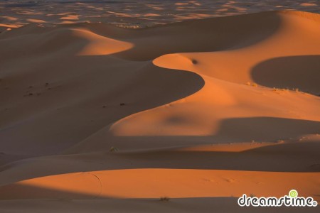 사하라 사막의 사구