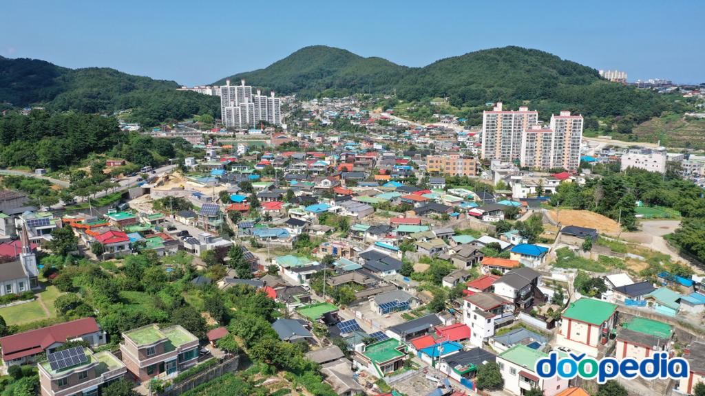 발한동