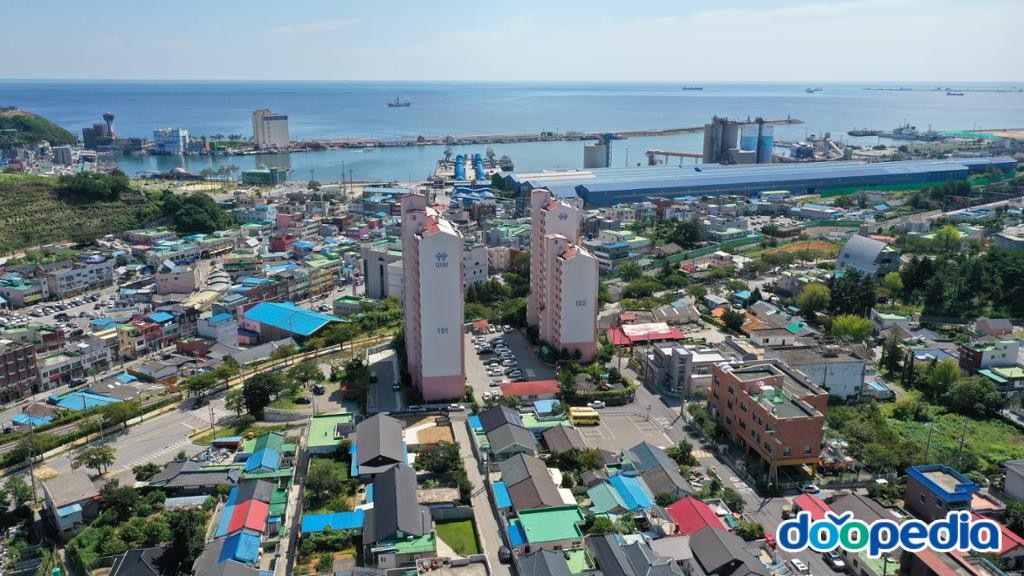 발한동