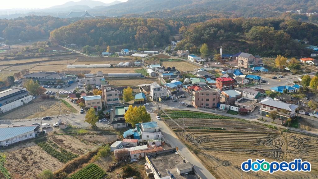동리