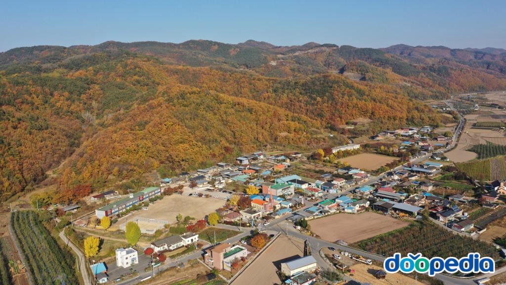 사곡면