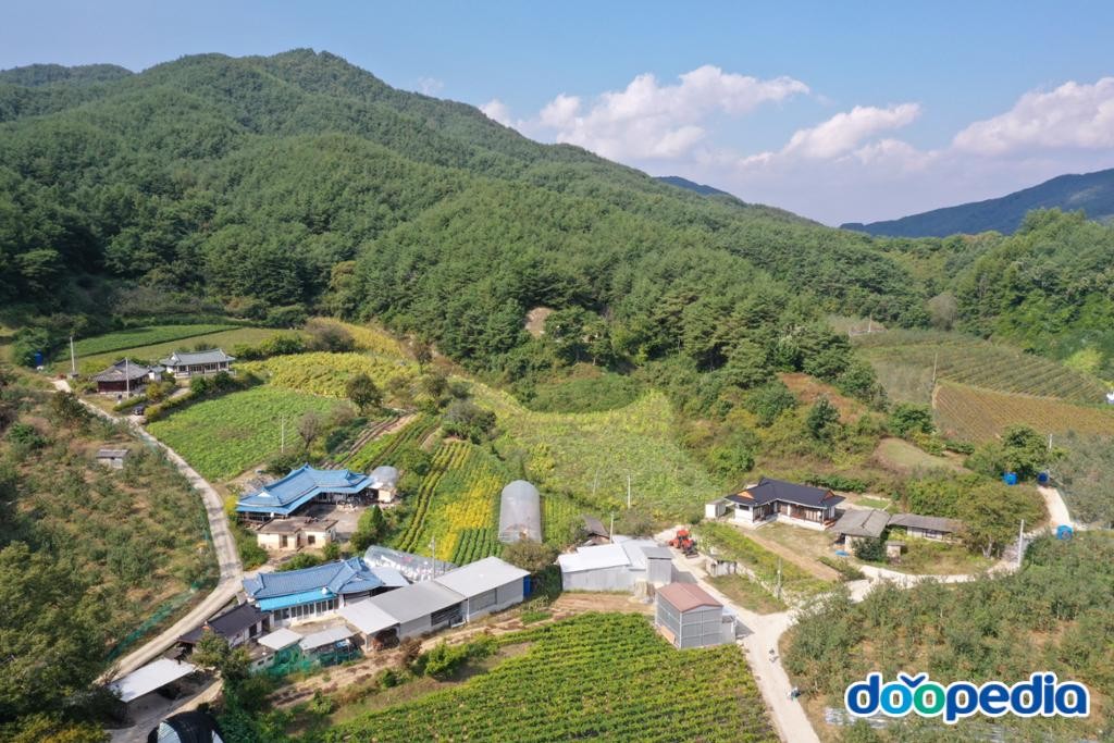 신평리