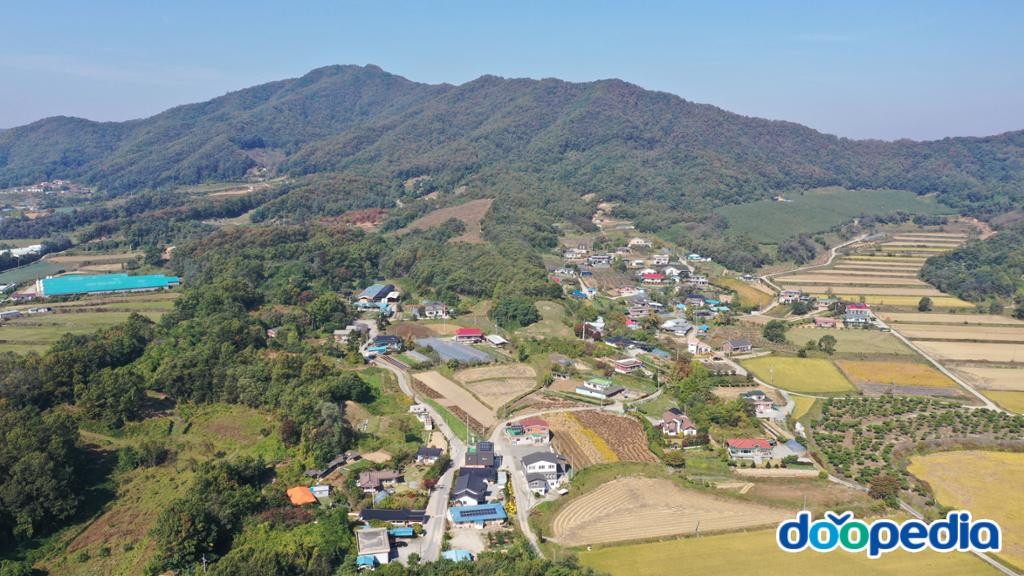 대야리