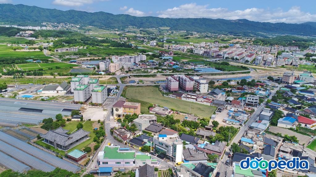 불국동