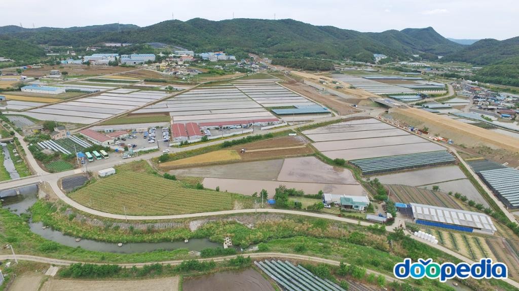 심곡리