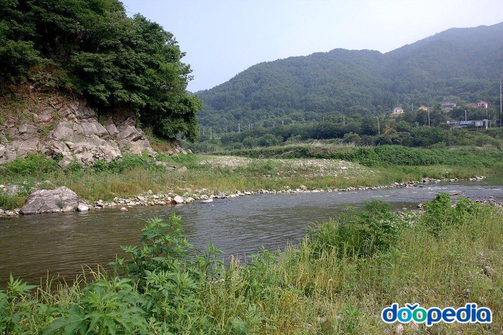 제천천
