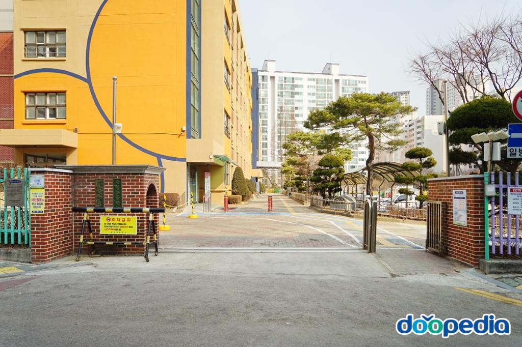 광정초등학교