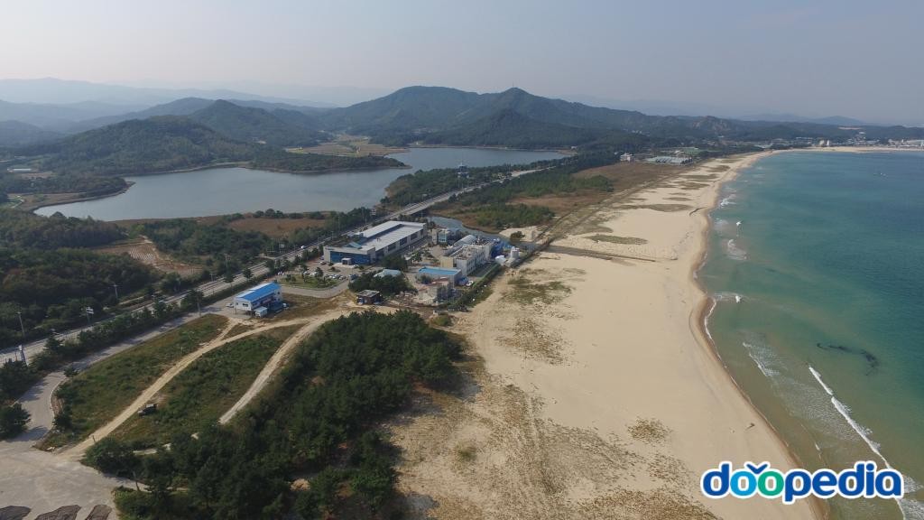 송지호해변