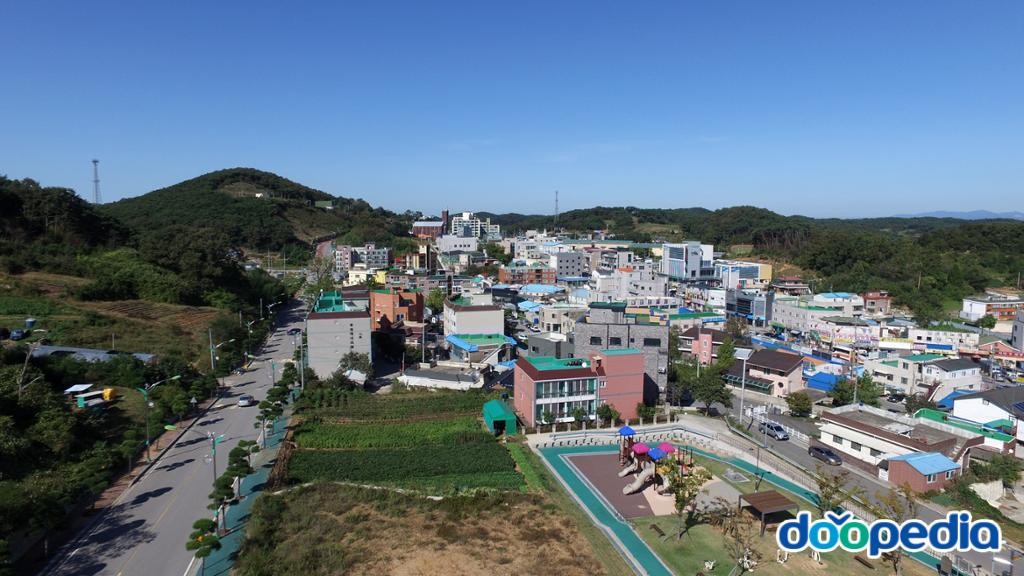안면읍
